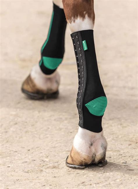 equicrown|equicrown erfahrungen.